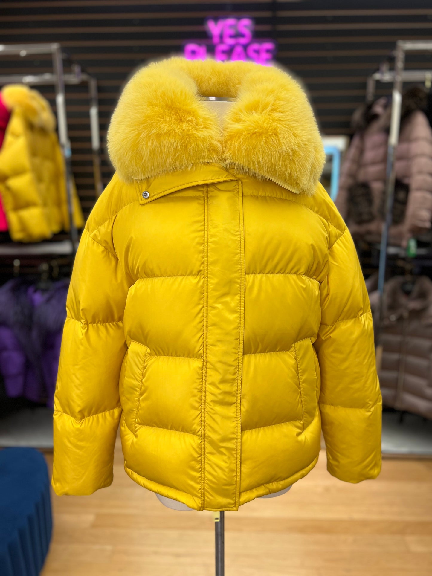 Veste en duvet de qualité supérieure Polar Fox authentique