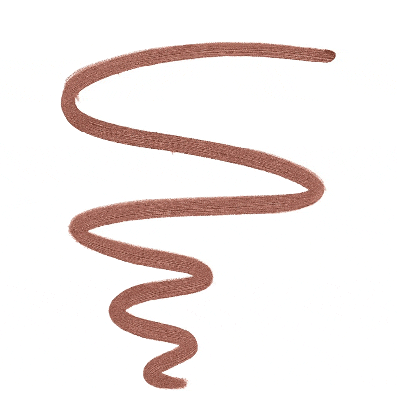 Maybelline New York Lifter Liner Lip Liner -05 On It