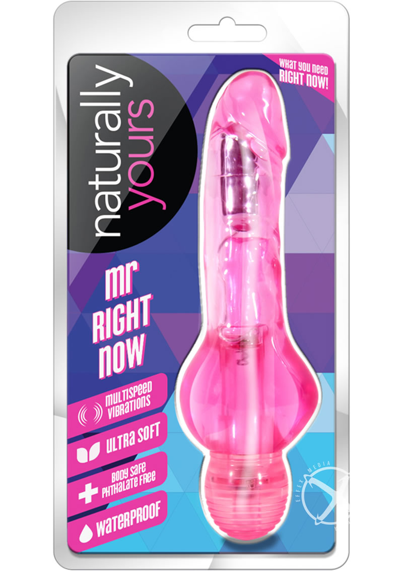 Naturally Yours Mr. Right Now Multi Speed Vibrating Dildo