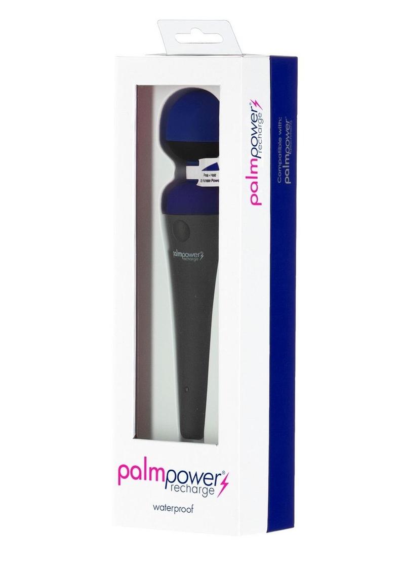 PalmPower Recharge Massager Wands