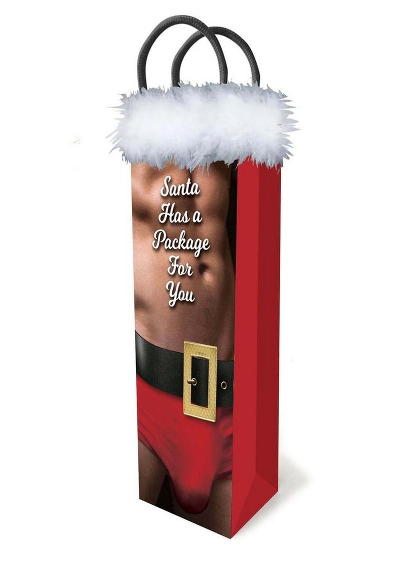 Santa Has a Package for You Gift Bag - Fun and Sexy Holiday Gift Wrap