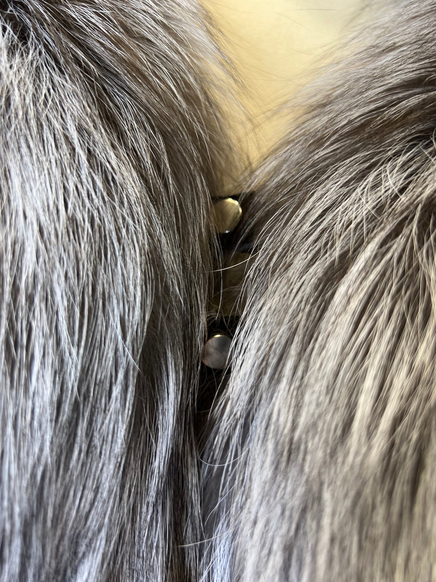 Genuine Silver Fox Fully Lined Hood Rabbit Insulated Parka