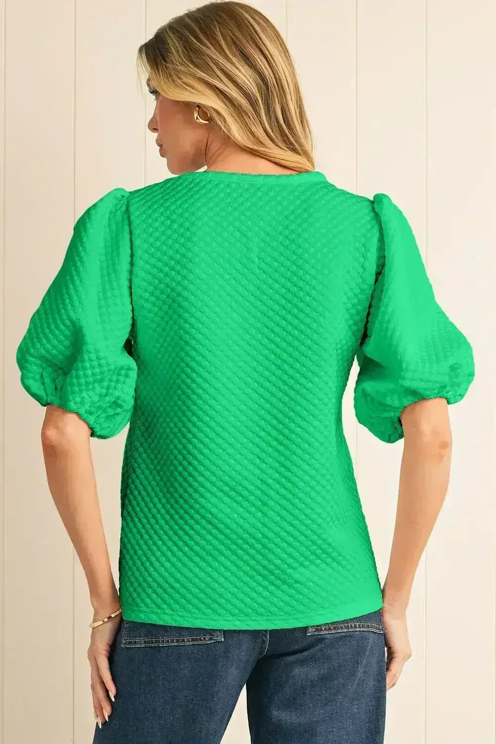 Phalaenopsis Solid Textured O Neck Puff Sleeve Blouse | Femstylo