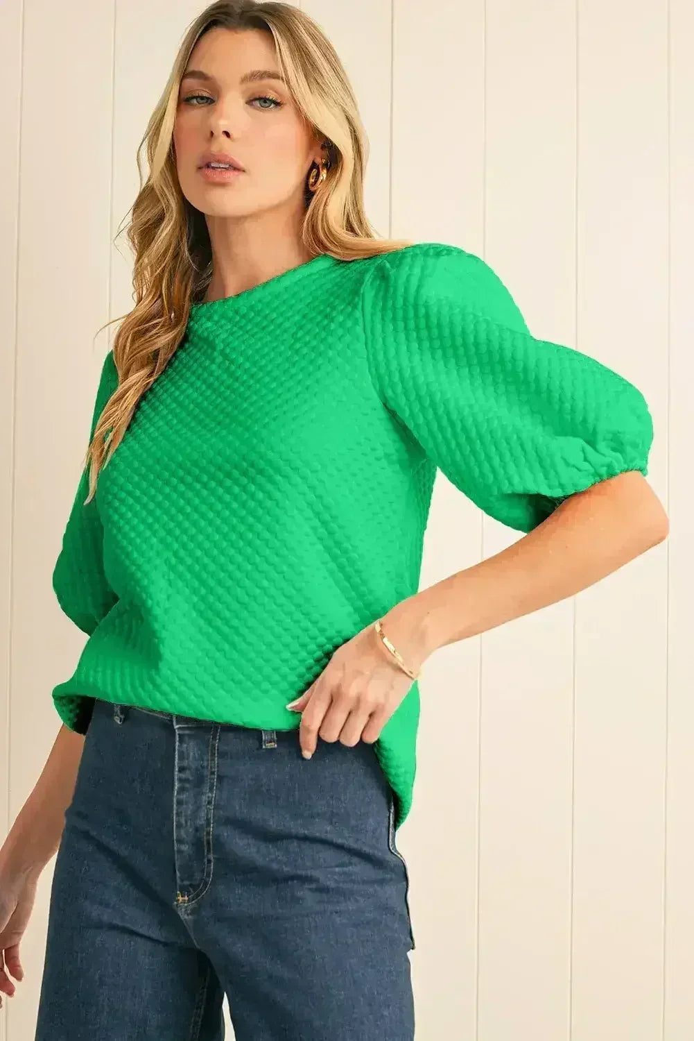 Phalaenopsis Solid Textured O Neck Puff Sleeve Blouse | Femstylo