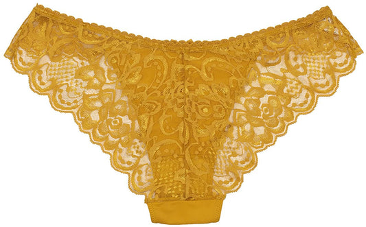 Perfectly Sexy Lace and Microfiber Cheeky