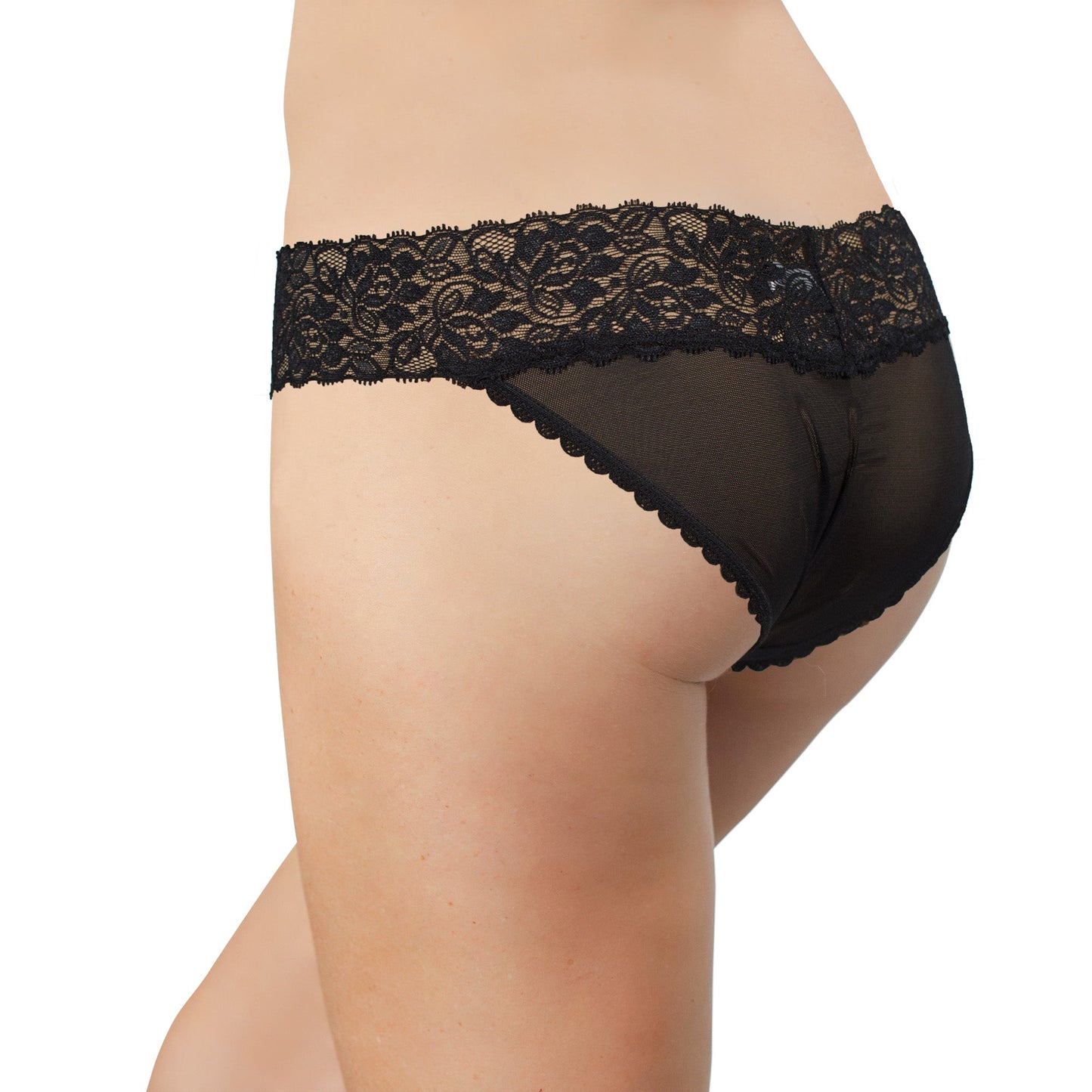 Mesh and Lace Classic Cheeky, XS-2X