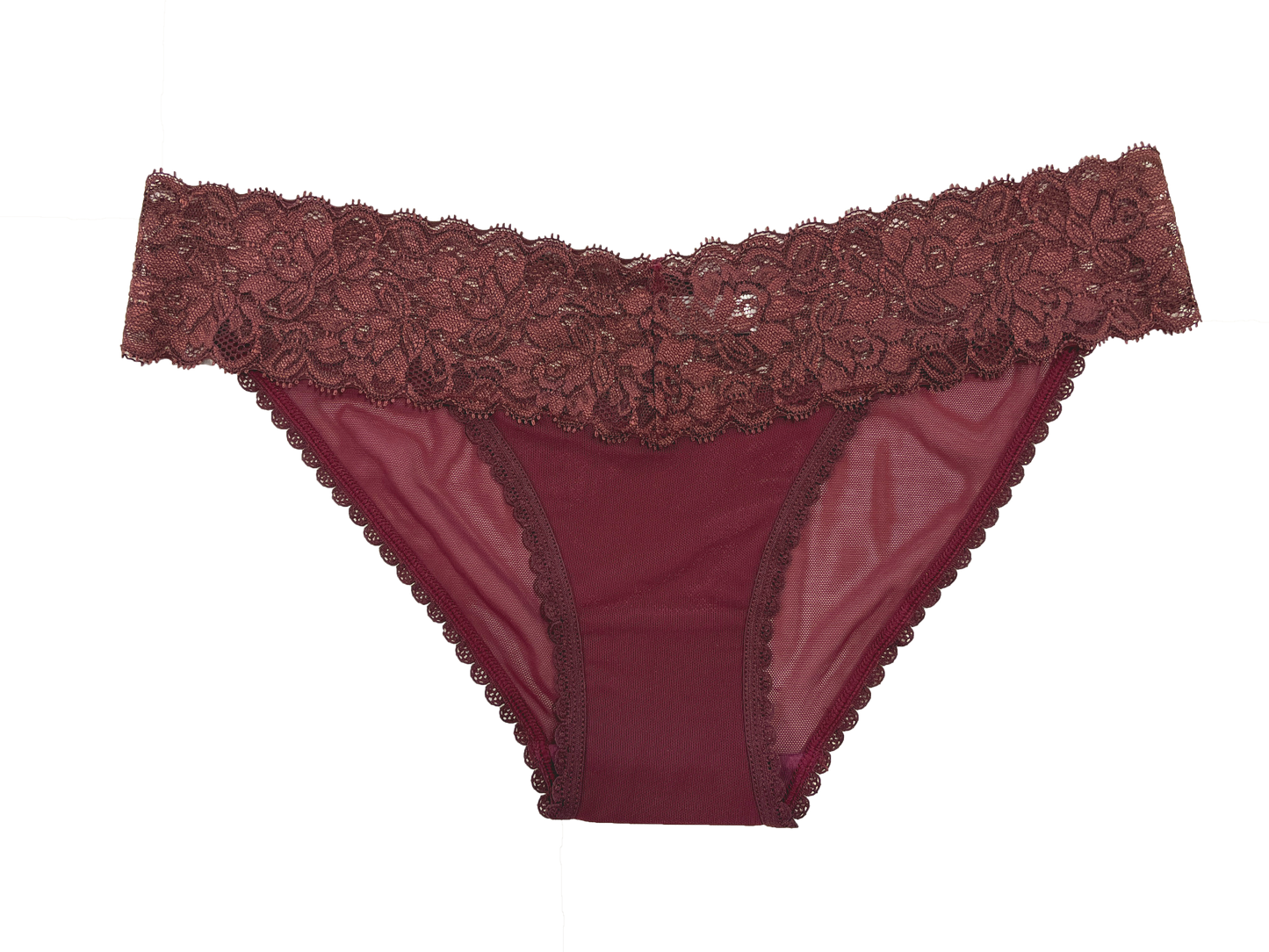 Mesh and Lace Classic Cheeky, XS-2X