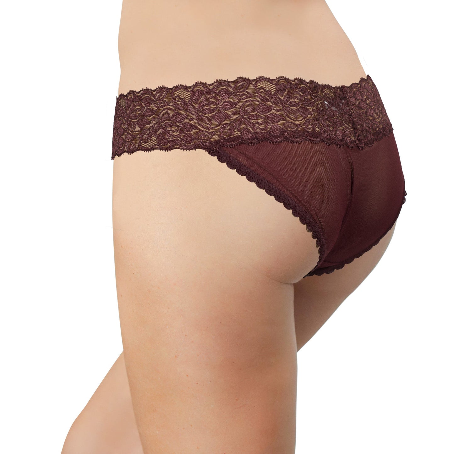 Mesh and Lace Classic Cheeky, XS-2X
