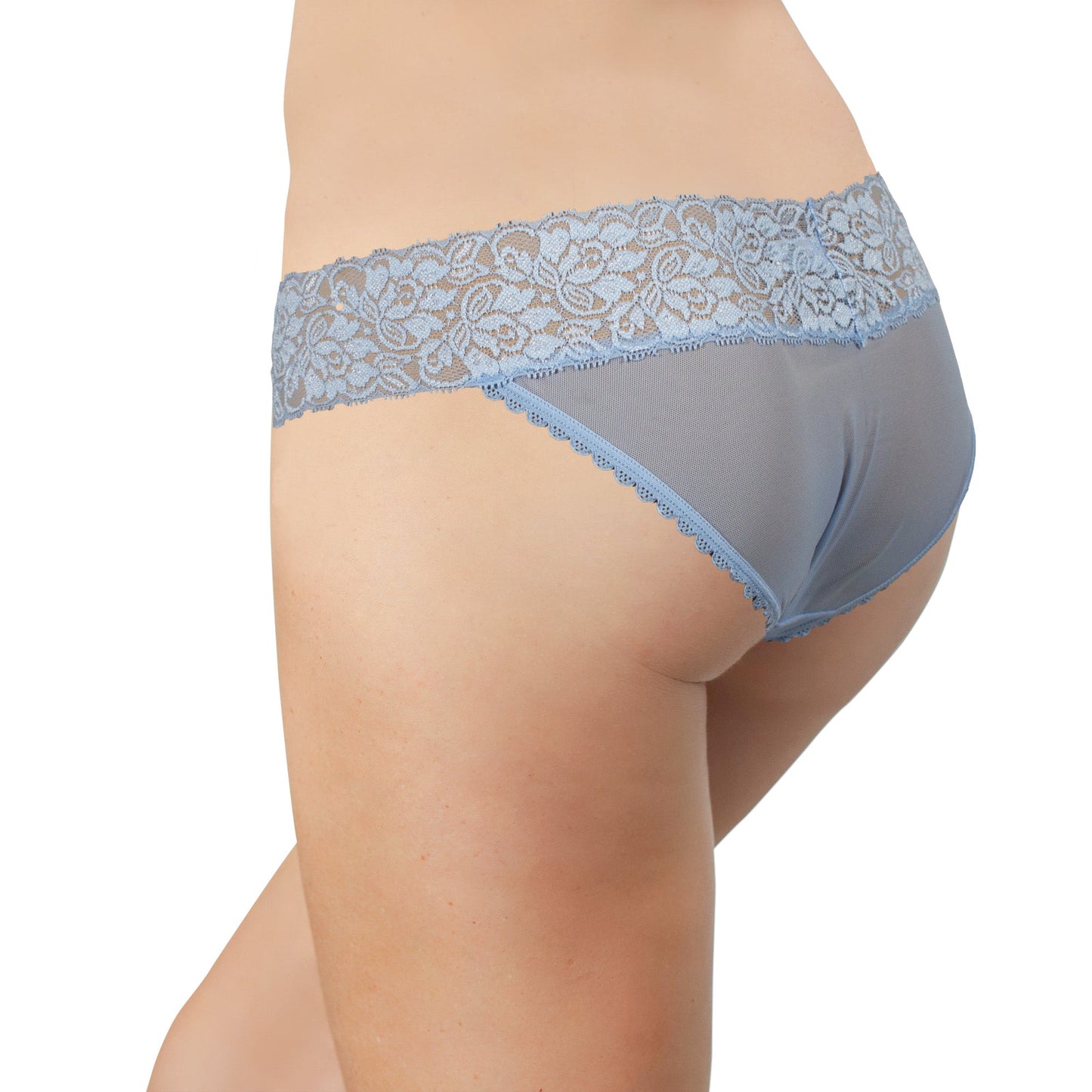 Mesh and Lace Classic Cheeky, XS-2X