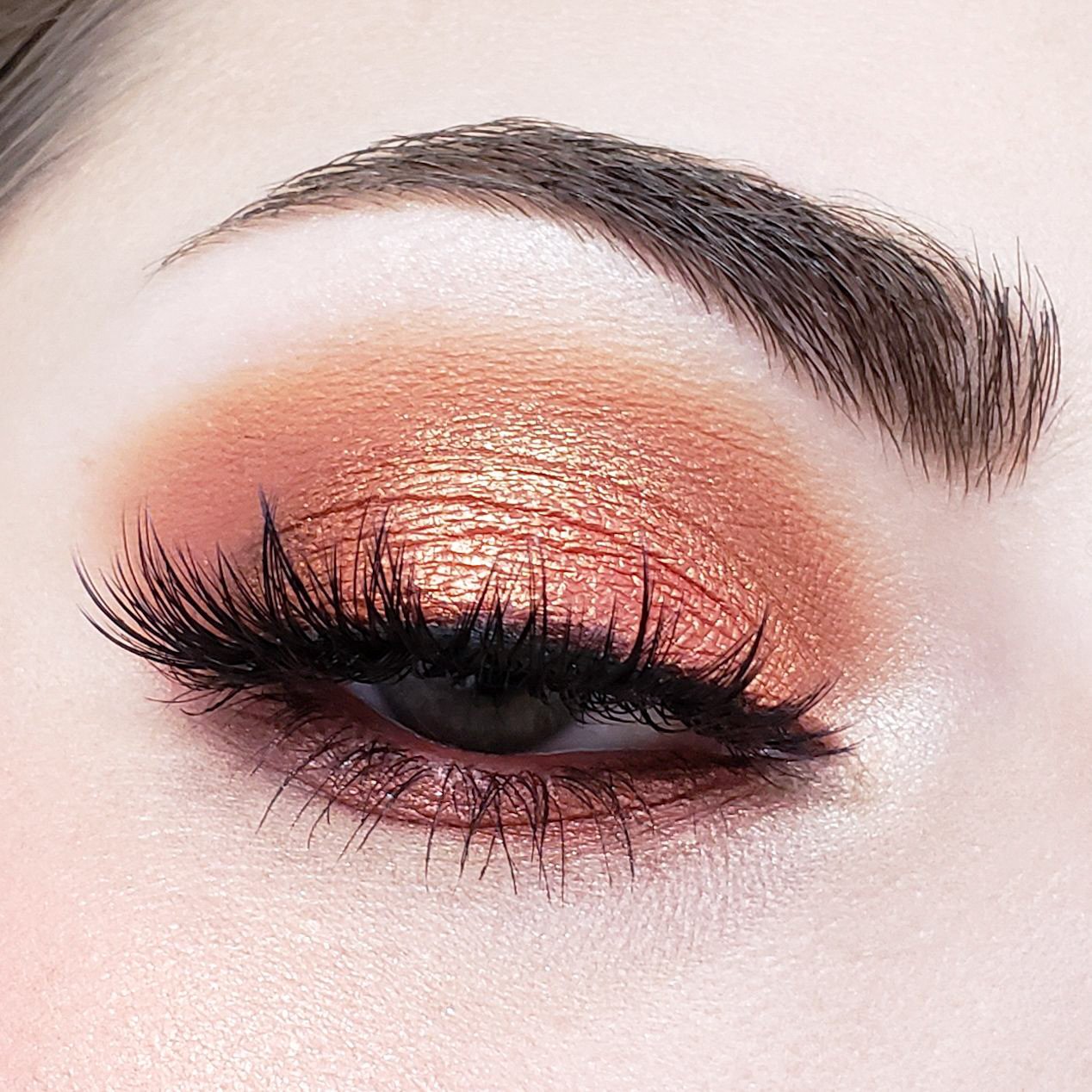 Crown Pro 10 Color Fuego Collection