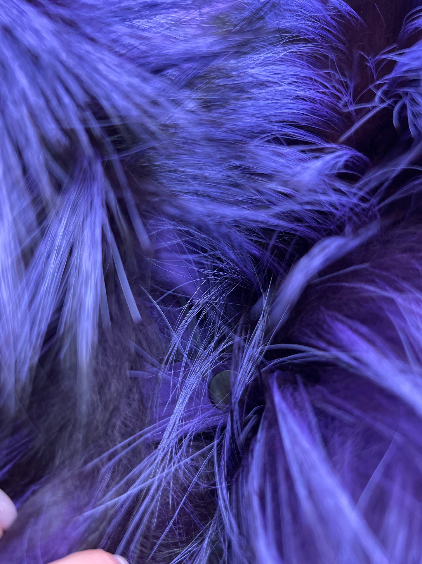 Parka en duvet et fourrure de renard argenté véritable