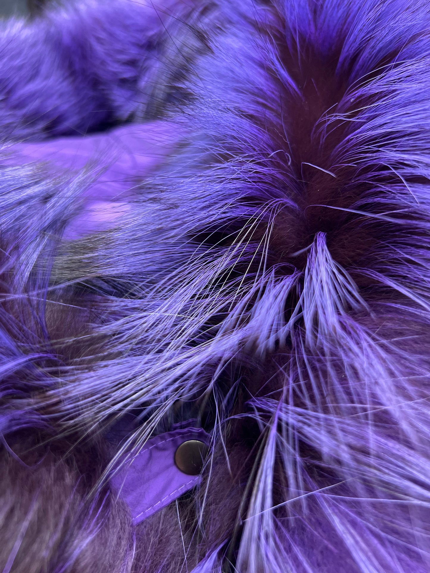 Parka en duvet et fourrure de renard argenté véritable