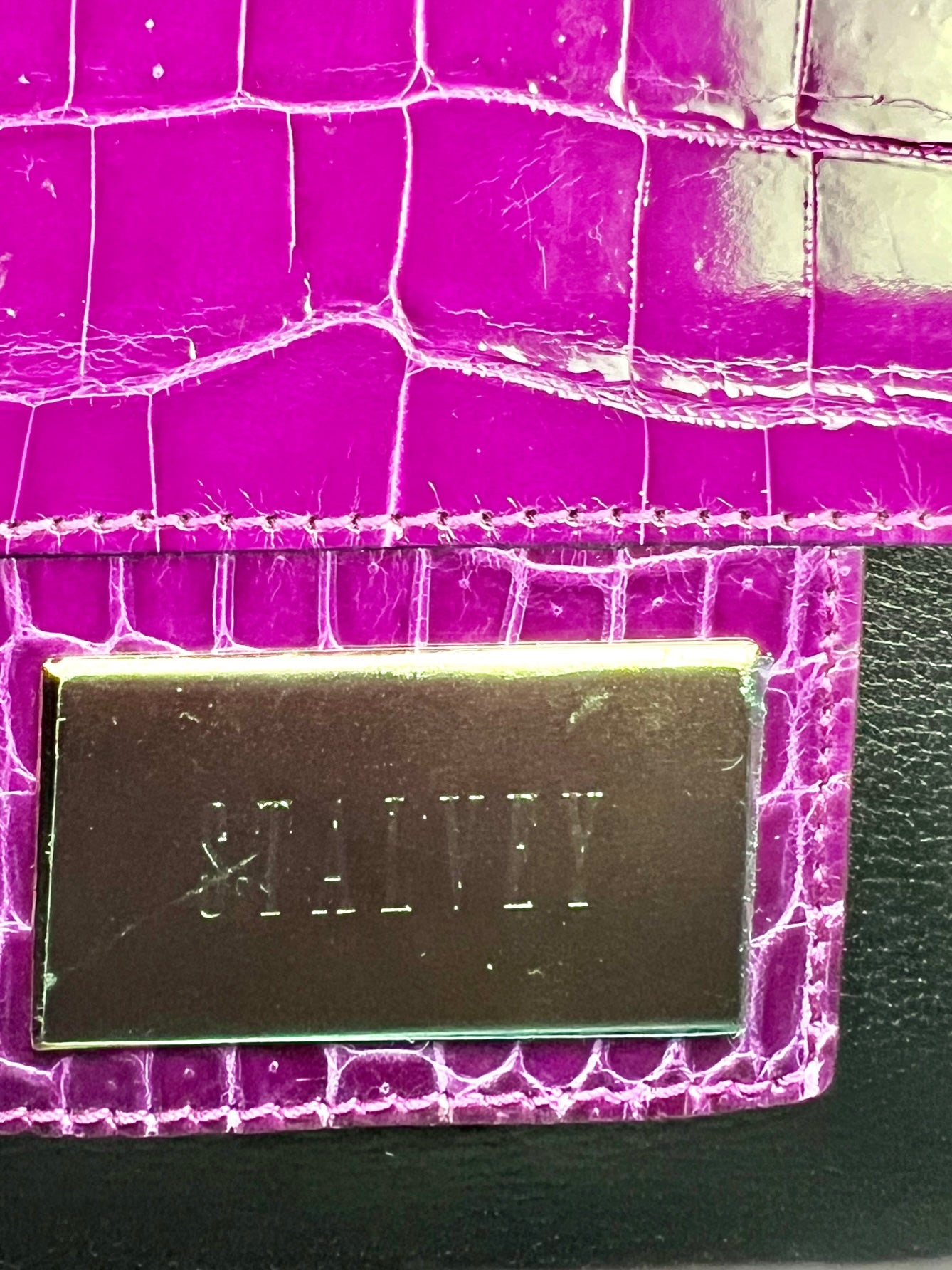 Exclusive Stalvey Top Handle 2.0 Alligator Bag Crossbody Luxury Bag