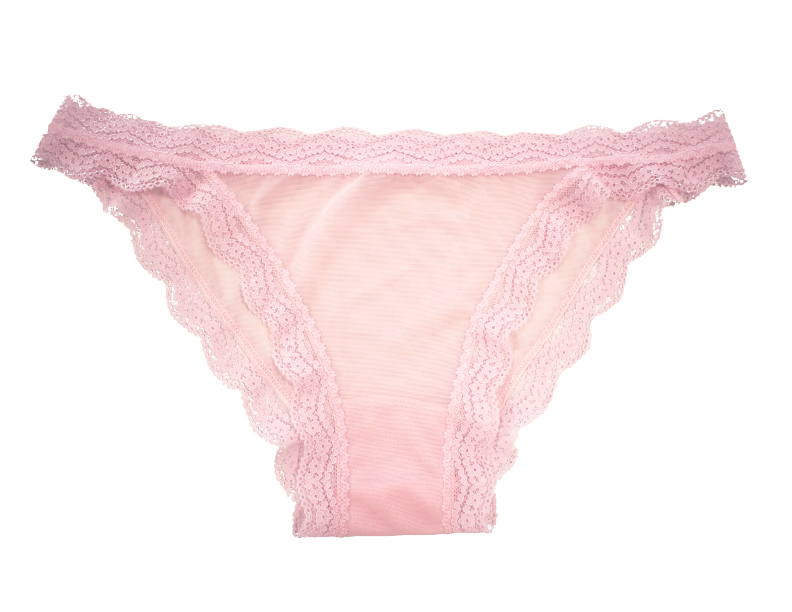 Mesh Bikini with Lace Trim at the Waist and Leg, XS-2X