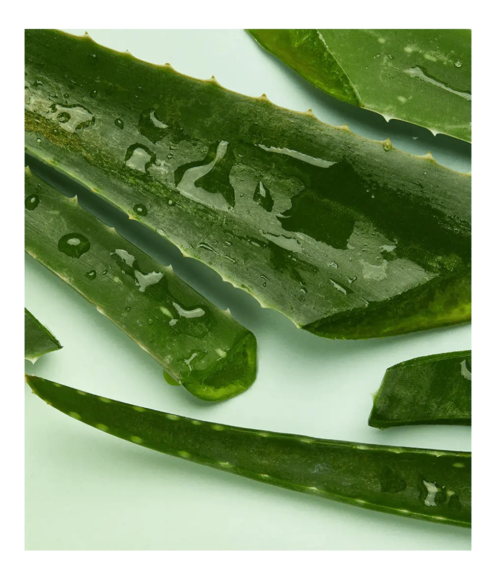 Spray après-soleil hydratant à l'aloe vera Nivea Sun 200 ml