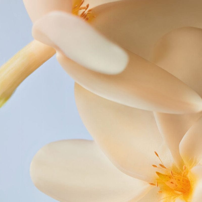 Yves Rocher Monoi Exfoliating Body Oil 150 ml