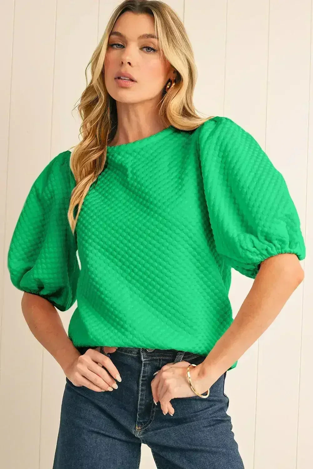 Phalaenopsis Solid Textured O Neck Puff Sleeve Blouse | Femstylo