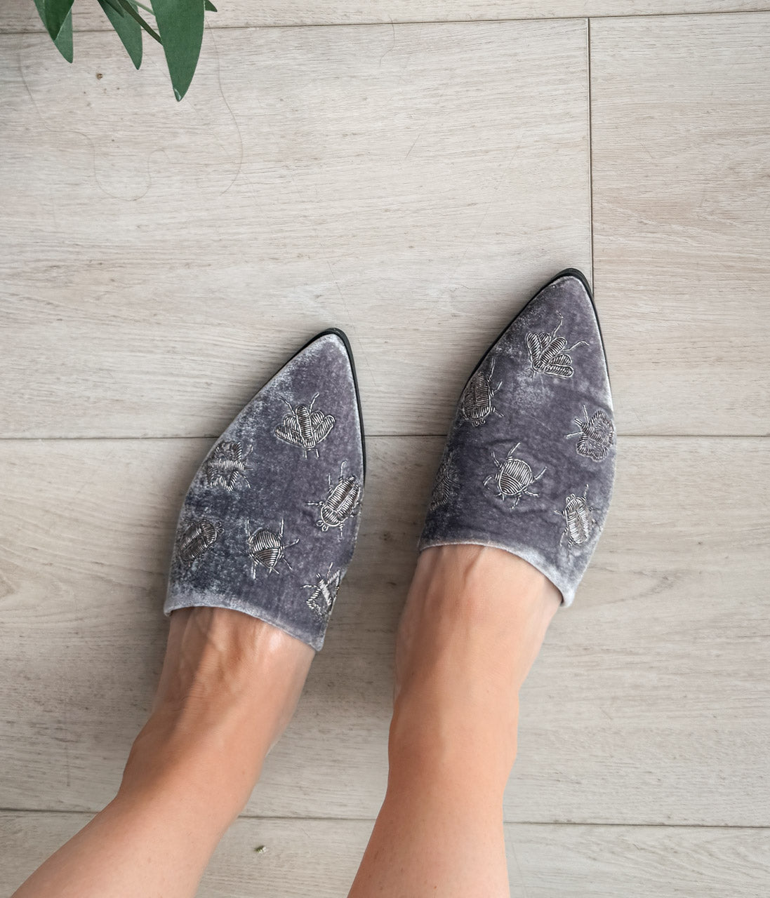 Dragonfly Velvet Flats in Grey