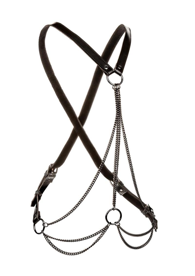 CalExotics Euphoria Multi-Chain Harness