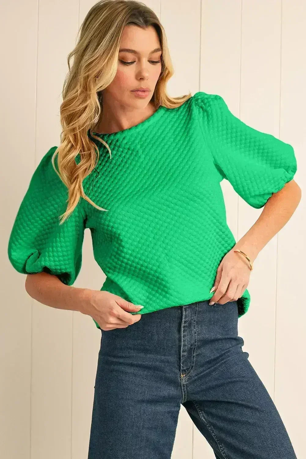 Phalaenopsis Solid Textured O Neck Puff Sleeve Blouse | Femstylo