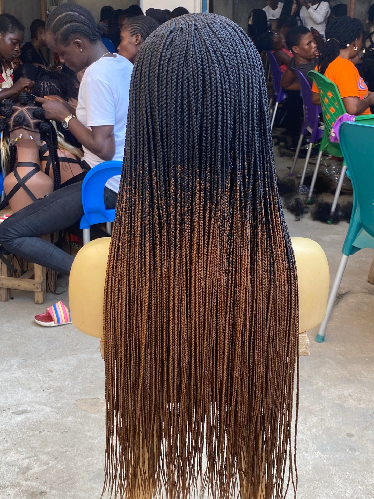 Cornrow Braid Wig (13x4 Lace Frontal) - C cut