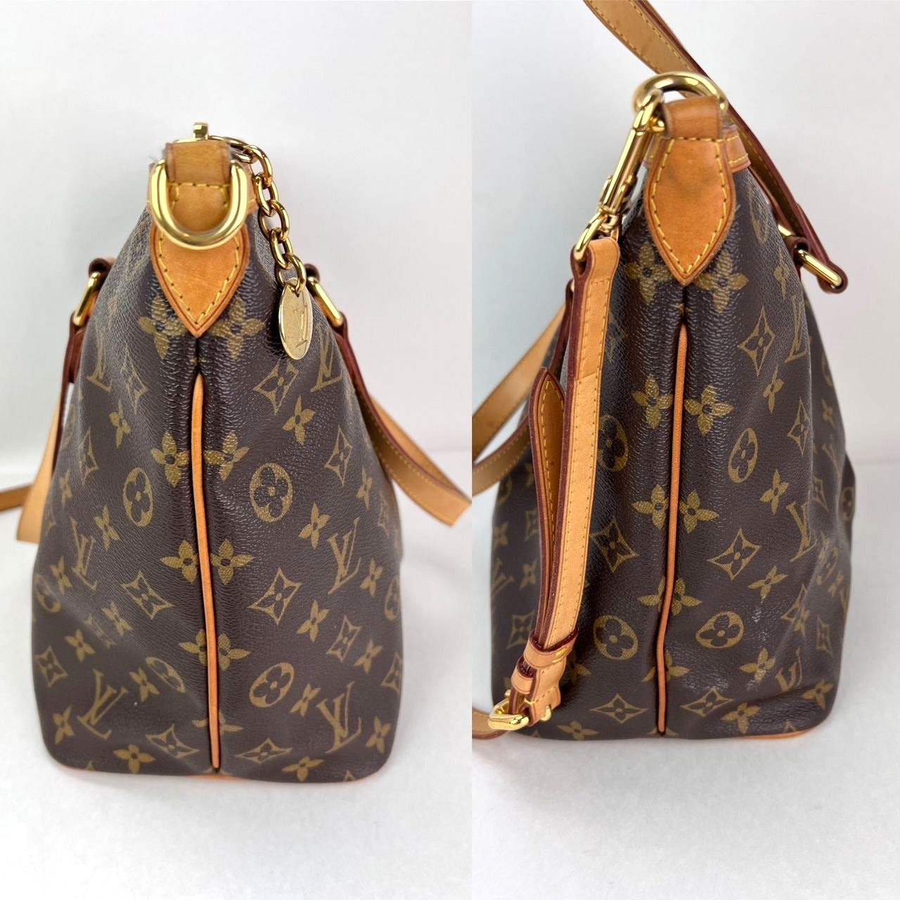 Louis Vuitton Palermo PM Monogram Zippered Tote Bag