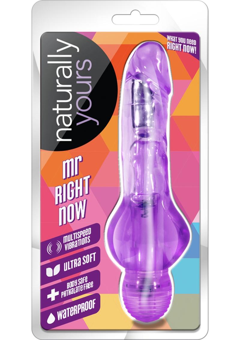 Naturally Yours Mr. Right Now Multi Speed Vibrating Dildo