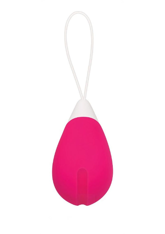 Remote Control Rechargeable Silicone Egg Vibrators