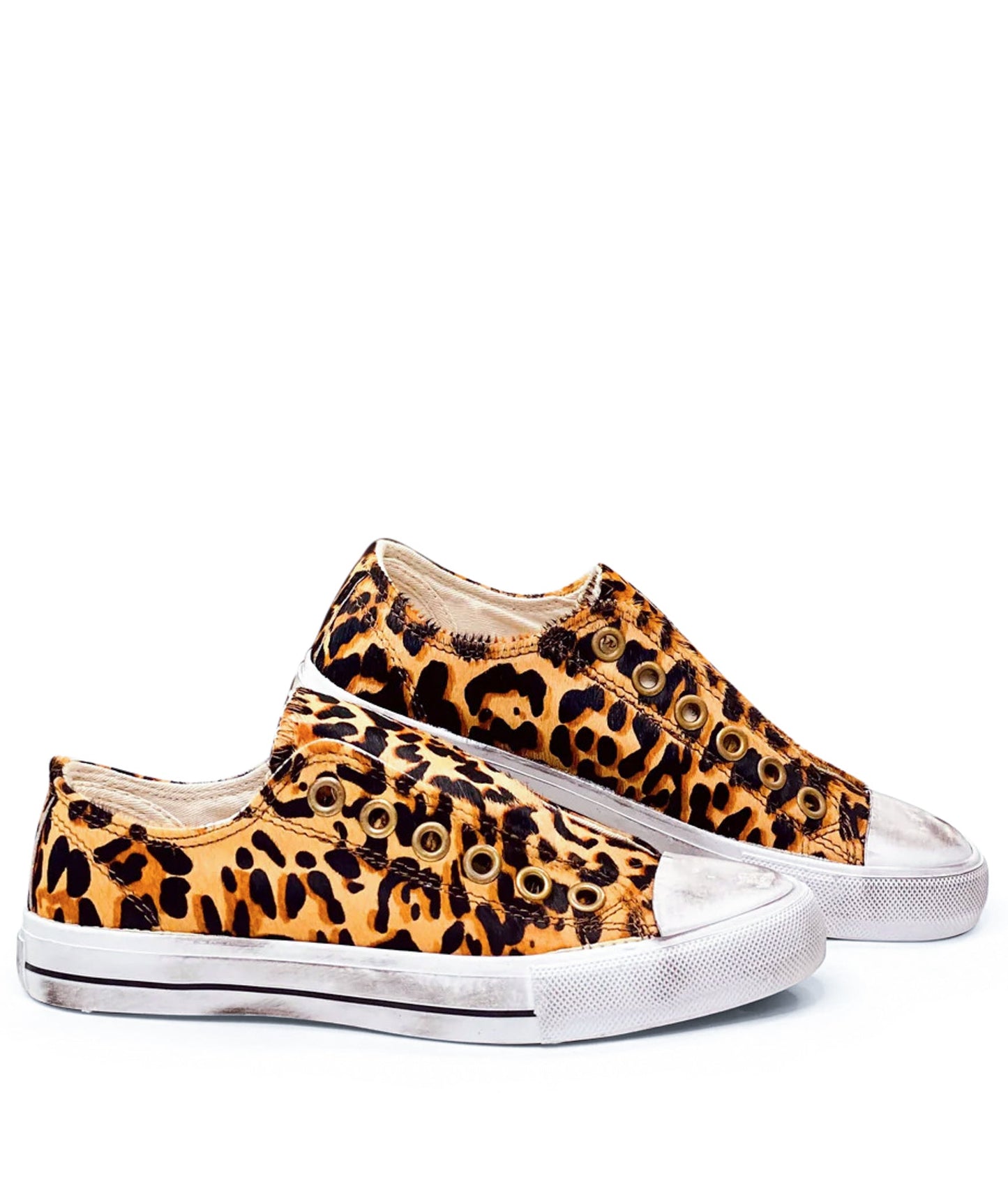 Shalomar Sneaker in Leopard