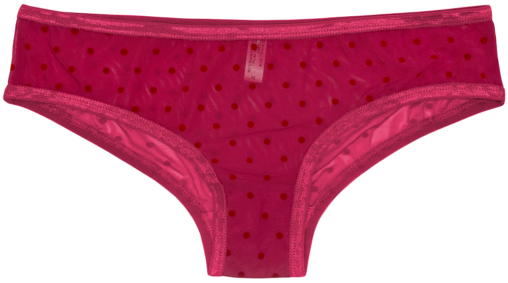 Polka Dot Mesh Bikini with Satin Trim