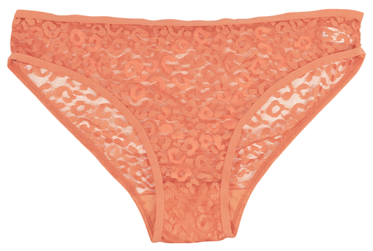 Leopard Lace Hipster