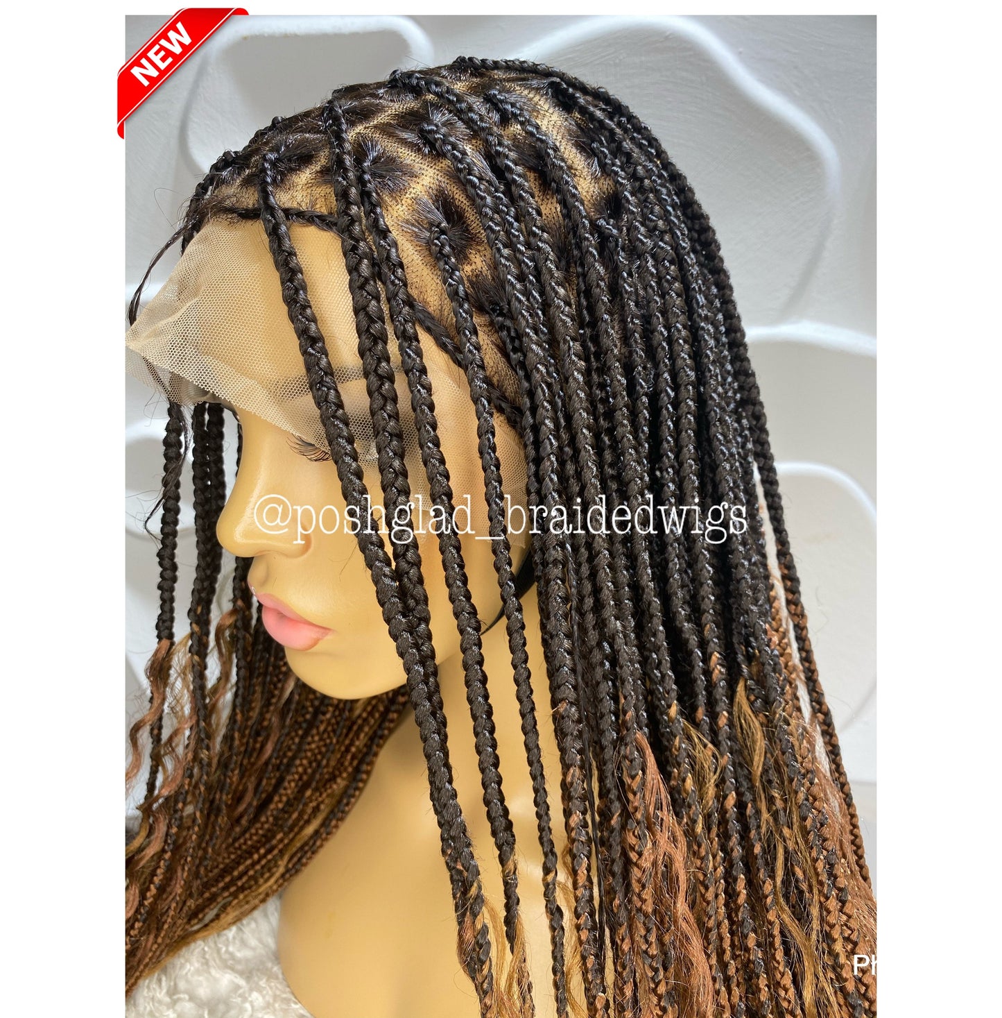Goddess Knotless Braid Wig "Ombre Color" Full Lace (Karisma)