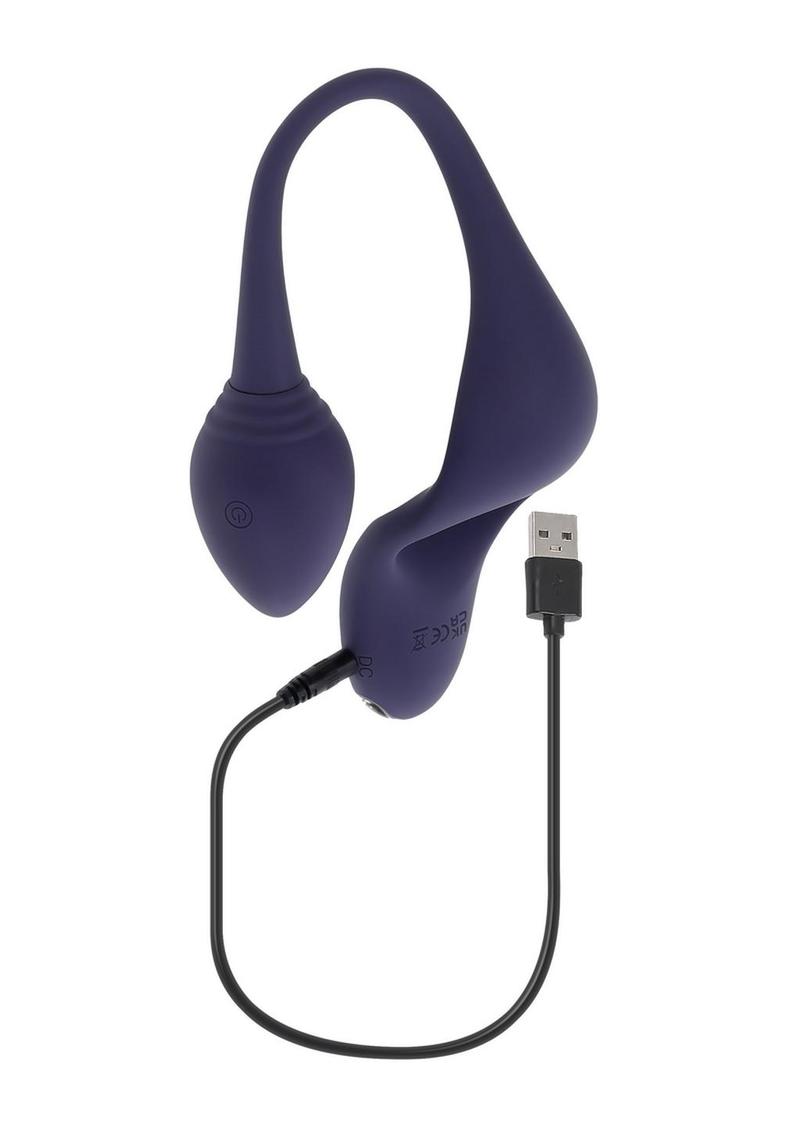 Zero Tolerance Tip to Tail Silicone Cock Ring And Anal Plug