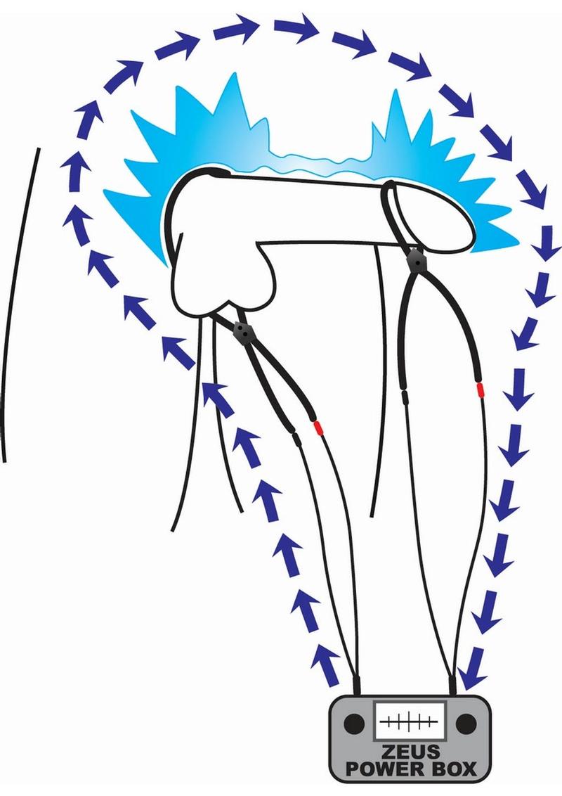 Zeus Electrosex Vigor II Silicone Cock And Ball Ties